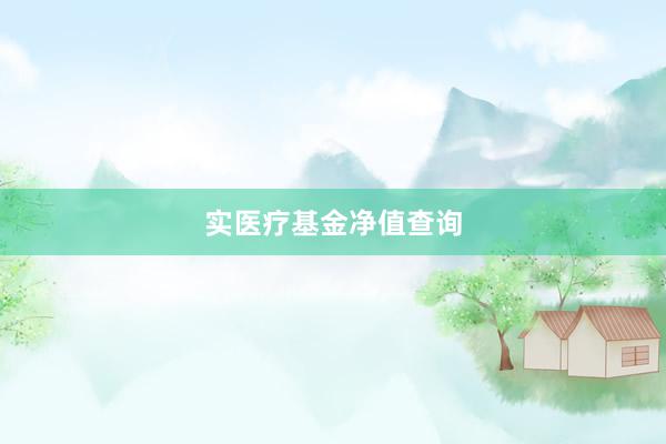 实医疗基金净值查询