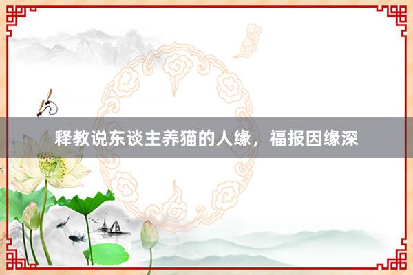 释教说东谈主养猫的人缘，福报因缘深